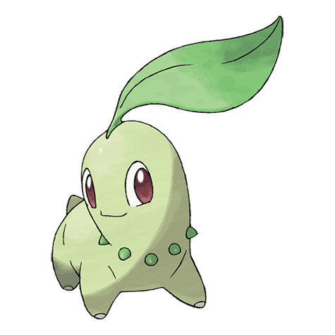 chikorita