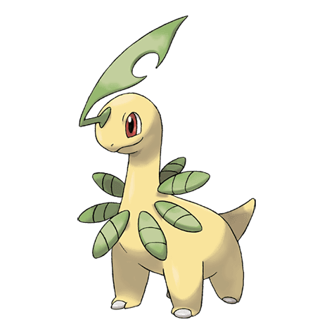 bayleef