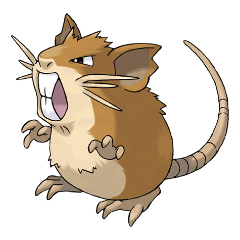 raticate