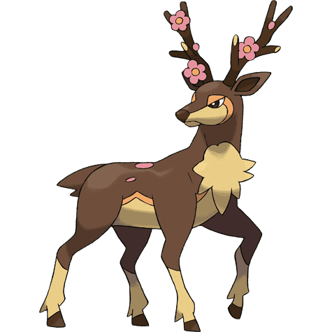 sawsbuck