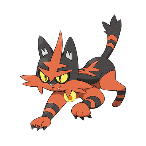 torracat