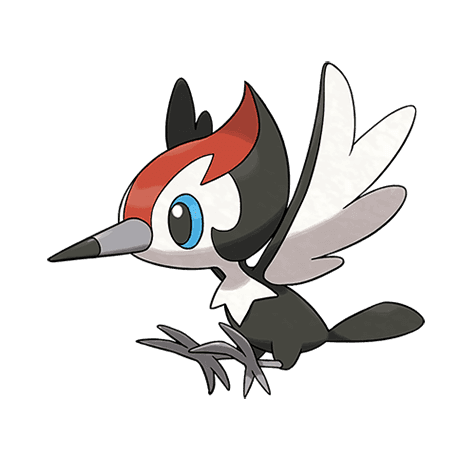 pikipek