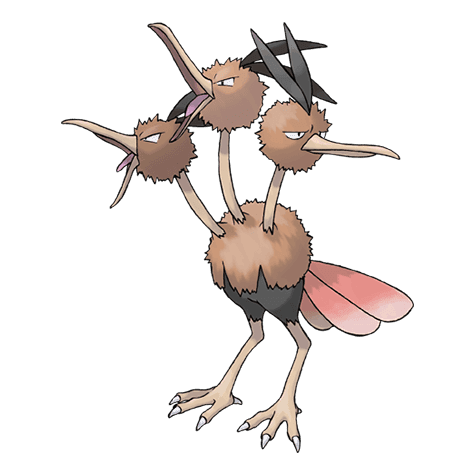 dodrio